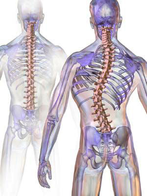 Victoria Chiropractor | Victoria chiropractic Spinal Subluxation | TX |